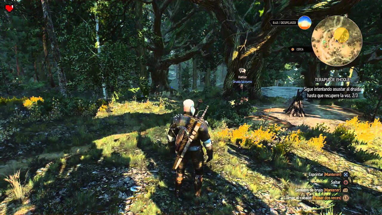 Terapia De Choque The Witcher 3