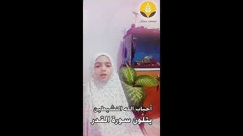 سورة القدر في ليلة القدر 2020 تلاوة( رفيف أيوب )