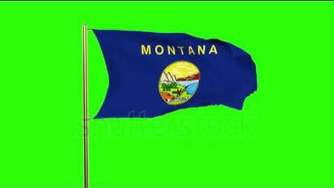 montana flag waving in the wind. Green screen, alpha matte. Loopable animation Stock video by
