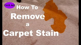 How to Get a BAD Stain Out of Carpet