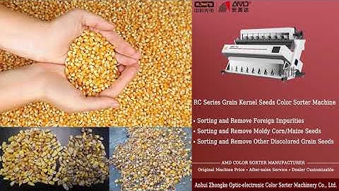 AMD RC Series(RC5) Color Sorter Price for Maize/Corn Kernel Seeds Sorting