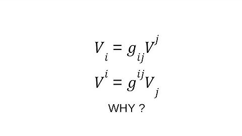Why does the Metric Tensor raise or lower Tensor indices?