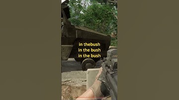 “It’s All Bush!!" | Incursion Red River