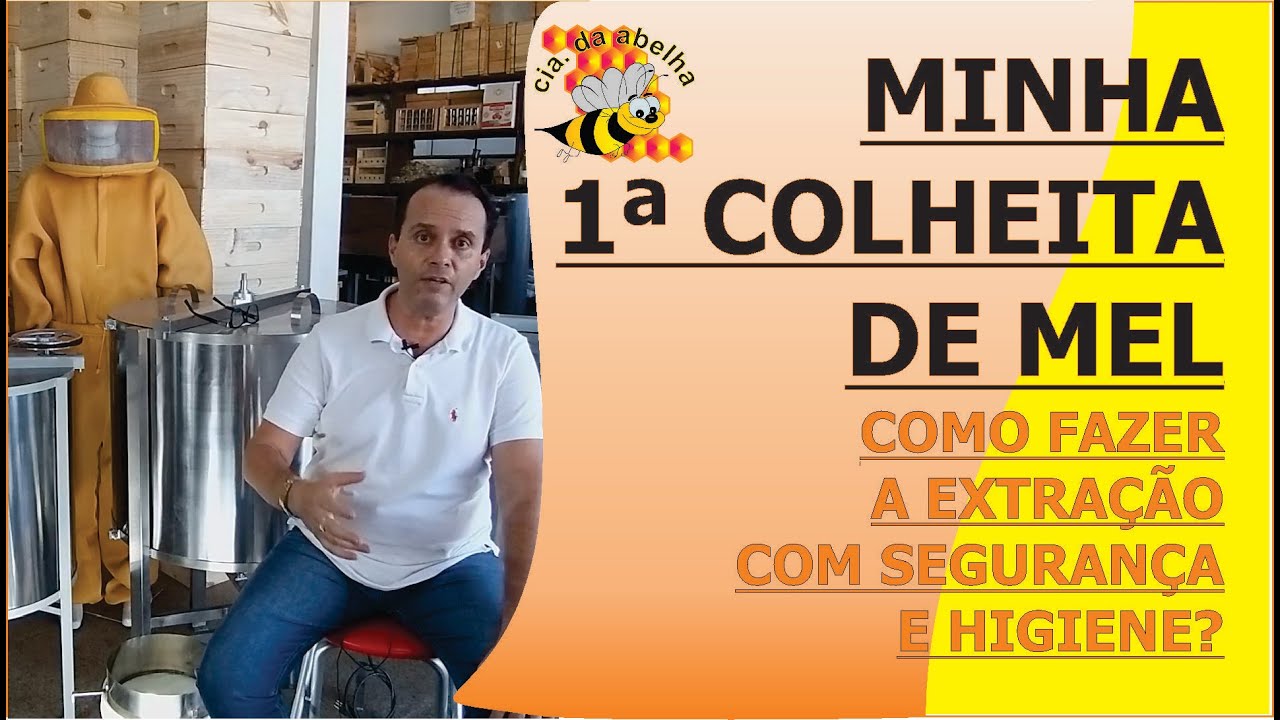 MINHA 1ª COLHEITA DE MEL. COMO EXTRAIR O MEL DO FAVO COM QUALIDADE E HIGIENE?