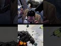 The Hulk Lobotomized by Iron Man #shorts #marvel #comics