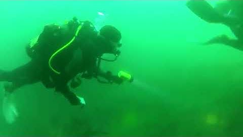 Wreck Dive on the Ruby E