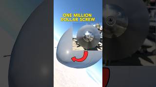 The One Million Dollar Screw 