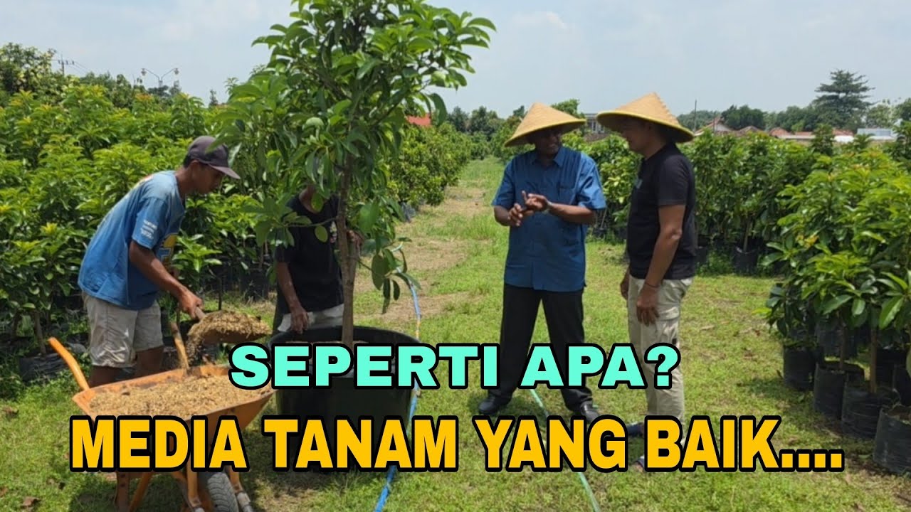 MEDIA TANAM YANG BAIK...
