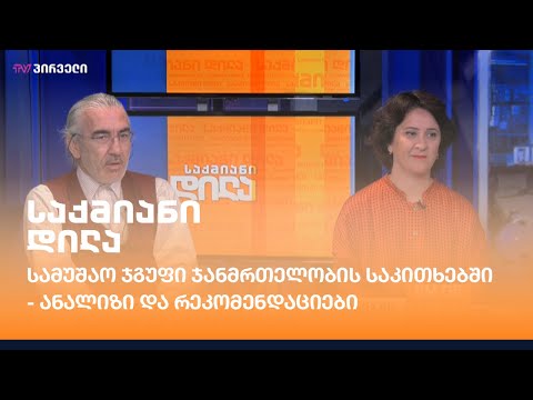 სამუშაო ჯგუფი ჯანმრთელობის საკითხებში - ანალიზი და რეკომენდაციები