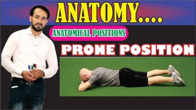 Supine Position, Anatomical Positions, Explained Practically