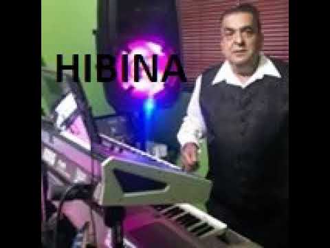 13 hibbina