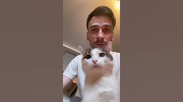 Воздушный рис #shorts