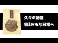近況報告! 猫たちとの日々と、進化したクラフト制作