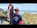 HUGE SEA BASS CATCH & COOK ~ Oregon Coast Jetty Fishing