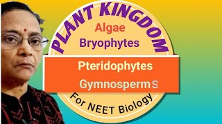 Plant Kingdom : Algae, Bryophytes, Pteridophytes &amp; Gymnosperms