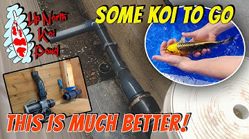 Skimmer Line Separation & Koi To Go