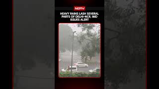 Delhi NCR News | IMD Issues Red Alert As Heavy Showers Disrupt Traffic Across Delhi-NCR