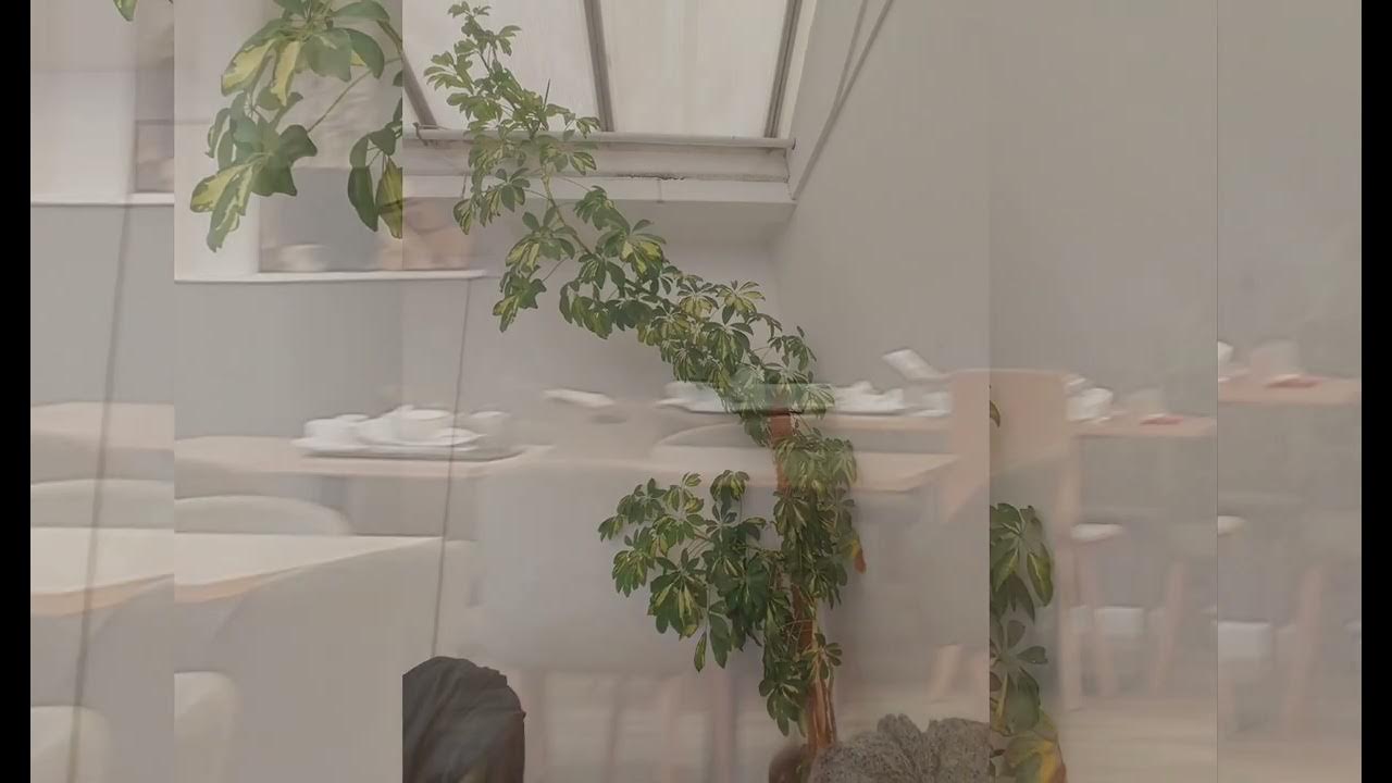 Dobbies Garden Centre Derby YouTube