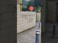Good hope school,Choi wan, Kowloon east