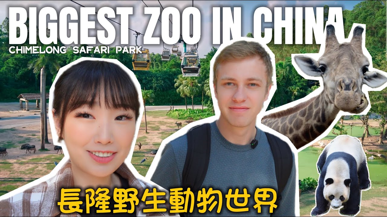 Exploring THE BIGGEST ZOO IN CHINA: Chimelong Safari Park! Safari on Wheels & Walking Tour✨ 長隆野生動物世界
