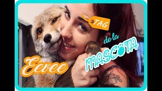 Eevee (Zorro) / TAG DE LA MASCOTA