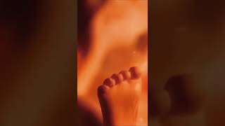 Musik Klasik untuk Bayi dalam Kandungan |Relaksasi Harian Ibu Hamil\u0026Stimulasi Otak Janin #BayiCerdas