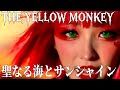 聖なる海とサンシャイン / THE YELLOW MONKEY|哀愁メタルカバー|Kanon Sisters【MUSIC VIDEO】MV