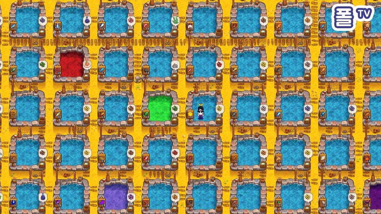 모든 물고기를 연못에 키워보자. 1년 동안 얼마나 벌 수 있을까? - 폴TV [스타듀밸리 1.4]