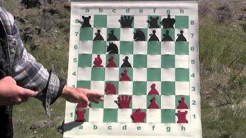Chess: Embracing "Imbalance Consciousness"
