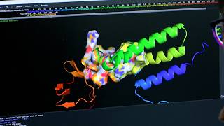 shot of a computer screen with a simulation of the PRRSV virus