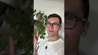 Riesiger Thripse Befall🌱😭 #pflanzen #thripse #pflanzentipps #zimmerpflanzen #pflanzenpflege