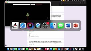 Celebrity OOP TURTLE GRAPH PROGRAM - Guillaume Francois Net Worth