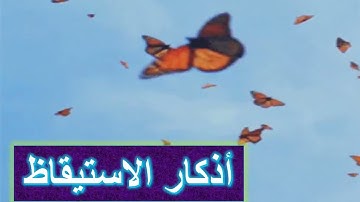 الفقه المصوَّر –  ركن الأطفال -  أذكار النوم والاستيقاظ ( بدون حقوق )