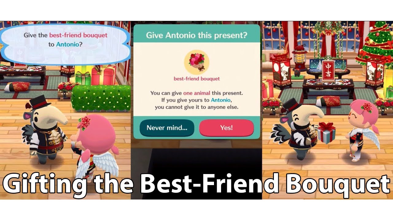 Gifting the BestFriend Bouquet to Antonio (Animal Crossing Pocket