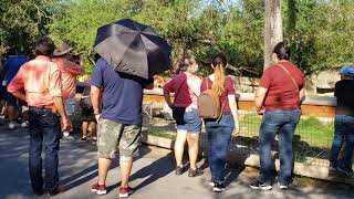 My Saturday at Gladys Porter Zoo. part 1