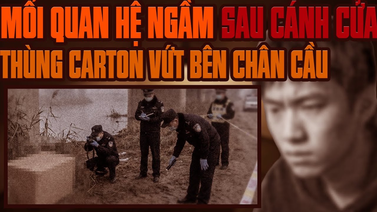 Kỳ Án Trung Quốc: Hộp Carton Kinh Hoàng & Nỗi Oan Khuất Dưới Chân Cầu Cũ