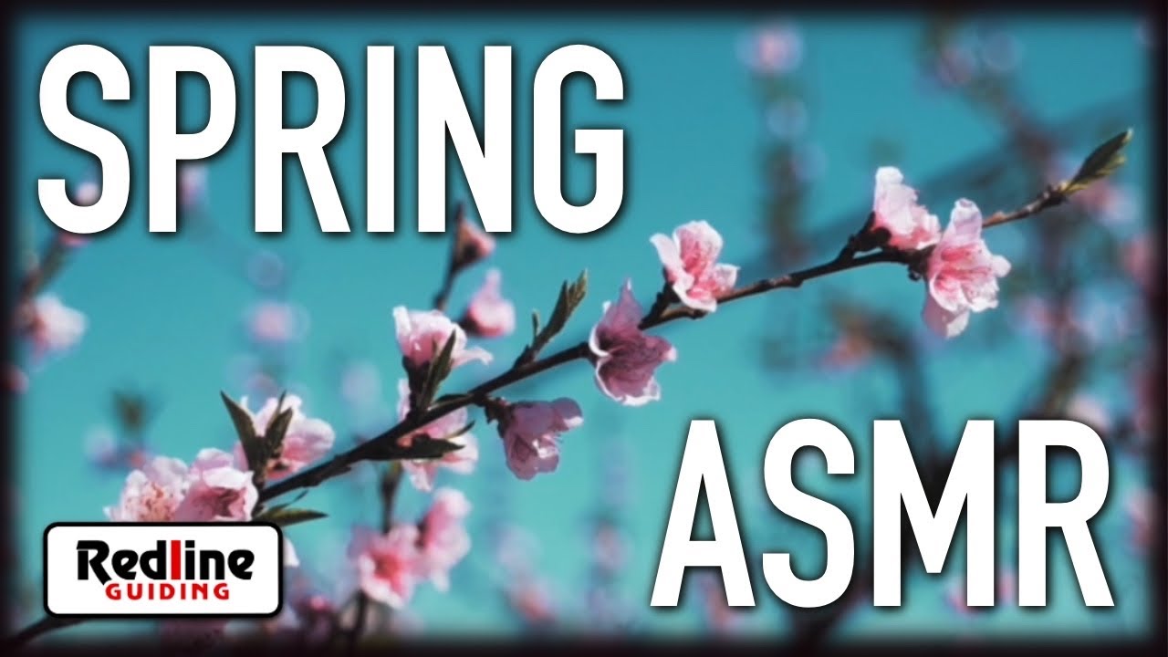 Spring ASMR (At Least Our Attempt) - Enjoy 7 1/2 Minutes of Mountain ...