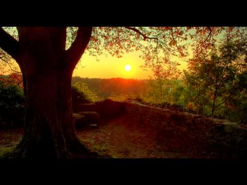 Kevin Macleod - Cipher