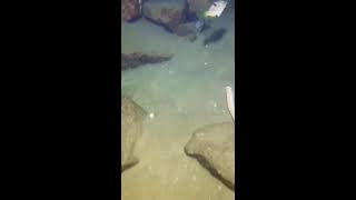 Bethany Sullivan Live Stream