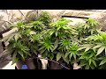 WHICH PLANTS WILL MAKE IT??