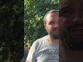 #vigneto in #emiliaromagna, che vino fanno? #aziendaagricola #spumante #mattthefarmer