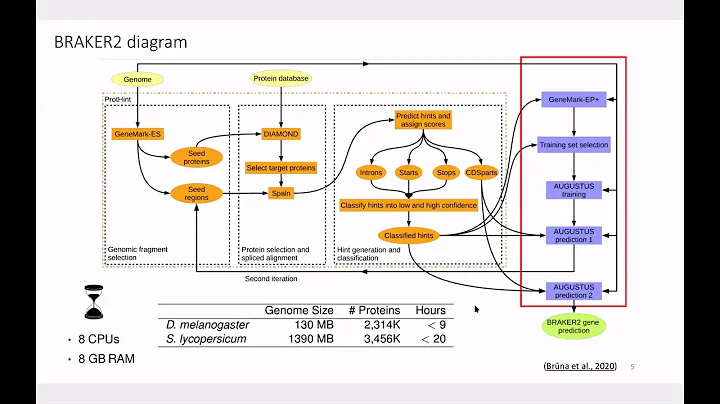 Workshop G-IV: How to annotate protein-coding gene...