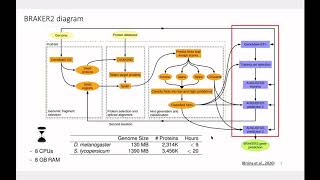 Workshop G-IV: How to annotate protein-coding genes... - Bruna, Lomsadze, Borodovsky - ISCB-LA 2020