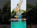 how high could you go # dive# diving practice