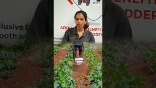 Vegetable Farmingക്ക് Super Mini Weeder 🌾
