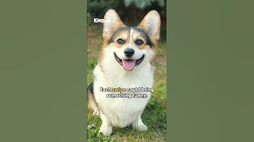 Kinzoo App Education Series - The Infinite Scroll