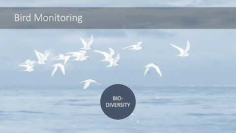 Fine-Grained Bird Classification (Team 3244 2010 0032)