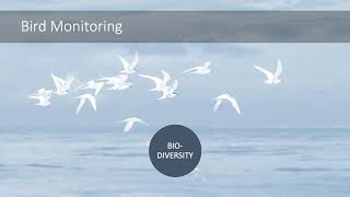 Fine-Grained Bird Classification (Team 3244 2010 0032)