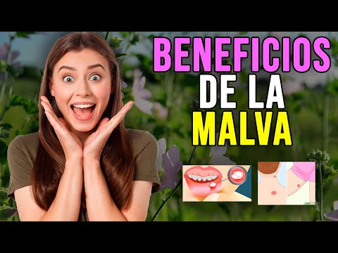 Vídeo: La malva s'autollavor?