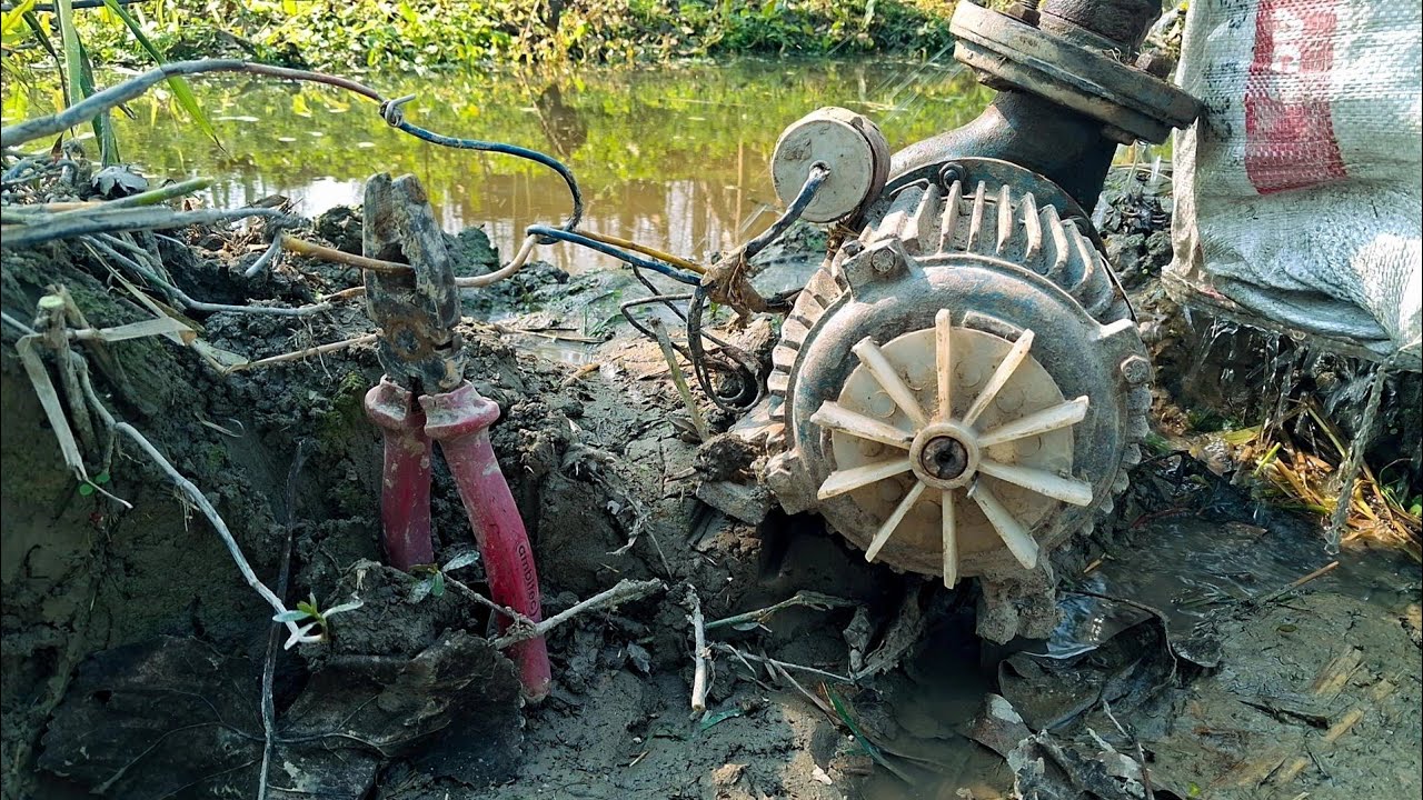 खेत में पानी लगाते